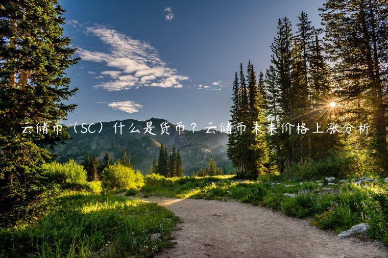 云储币（SC）什么是货币？云储币未来价格上涨分析-第1张图片-芝麻交易所下载