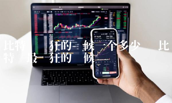 比特币疯狂的时候一个多少钱-第1张图片-芝麻交易所下载