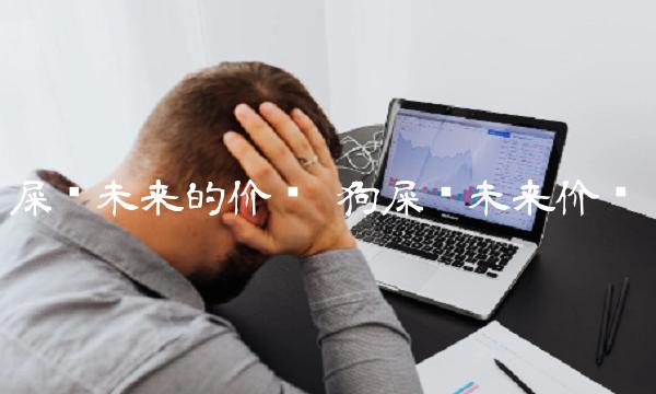 屎币未来的价值-第1张图片-芝麻交易所下载