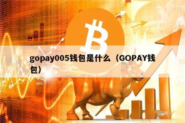 gopay005钱包是什么（GOPAY钱包）-第1张图片-芝麻交易所下载
