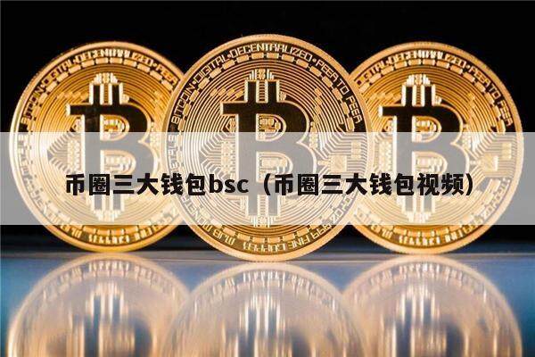 币圈三大钱包bsc（币圈三大钱包视频）-第1张图片-芝麻交易所下载