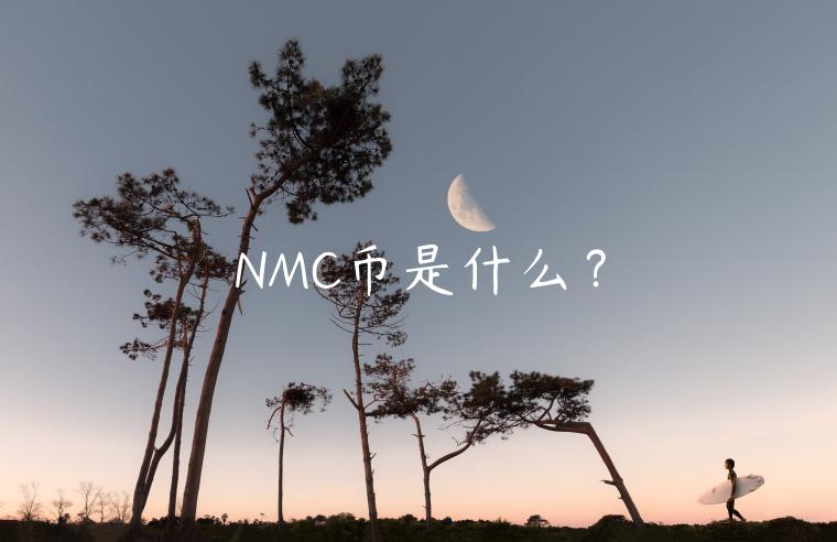 NMC币是什么？-第1张图片-芝麻交易所下载
