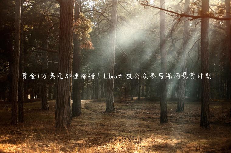 赏金1万美元加速除错！Libra开放公众参与漏洞悬赏计划-第1张图片-芝麻交易所下载