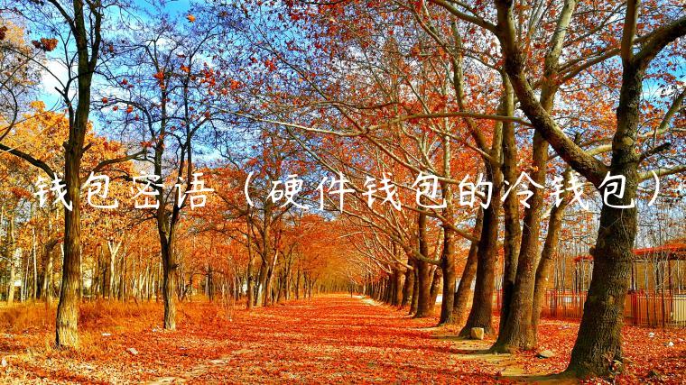 钱包密语（硬件钱包的冷钱包）-第1张图片-芝麻交易所下载
