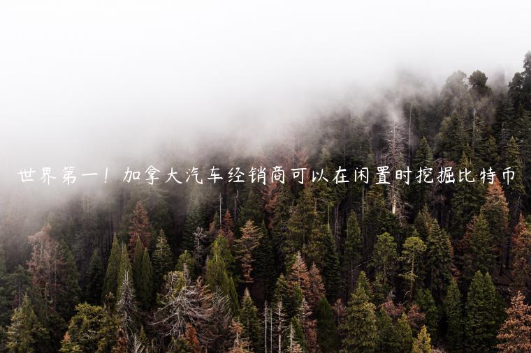 世界第一！加拿大汽车经销商可以在闲置时挖掘比特币-第1张图片-芝麻交易所下载