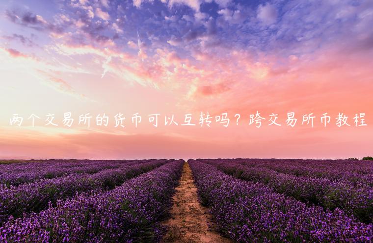两个交易平台的货币可以互转吗？跨交易平台币教程-第1张图片-芝麻交易所下载