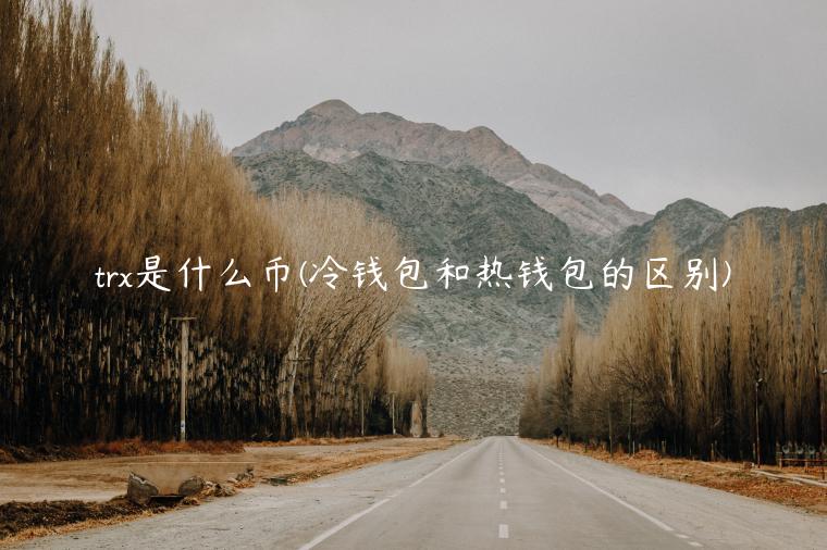 tr是什么币 - 冷钱包和热钱包的区别-第1张图片-芝麻交易所下载