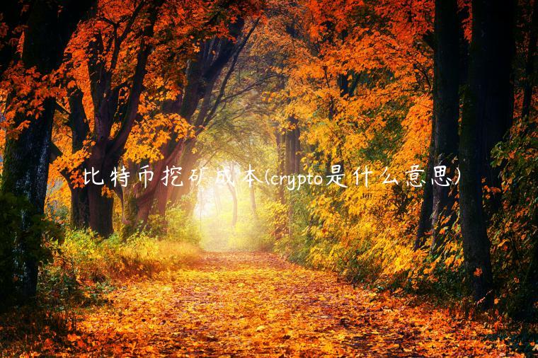 比特币挖矿成本 - crypto是什么意思-第1张图片-芝麻交易所下载