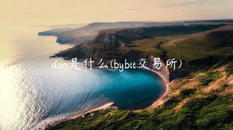 dao是什么 - bybit交易所-第1张图片-芝麻交易所下载