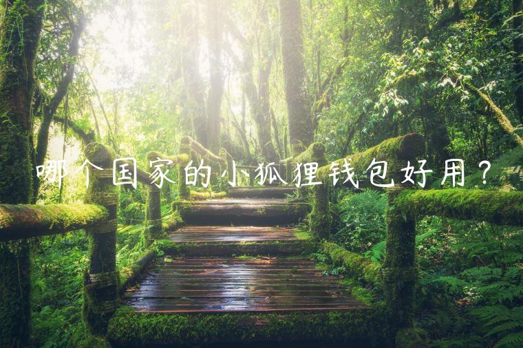 哪个国家的小狐狸钱包好用？-第1张图片-芝麻交易所下载