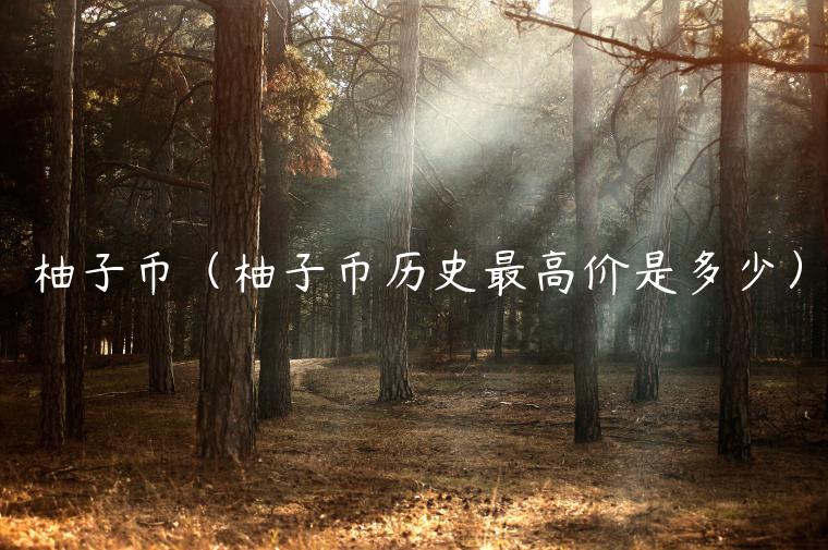 柚子币（柚子币历史最高价是多少）-第1张图片-芝麻交易所下载