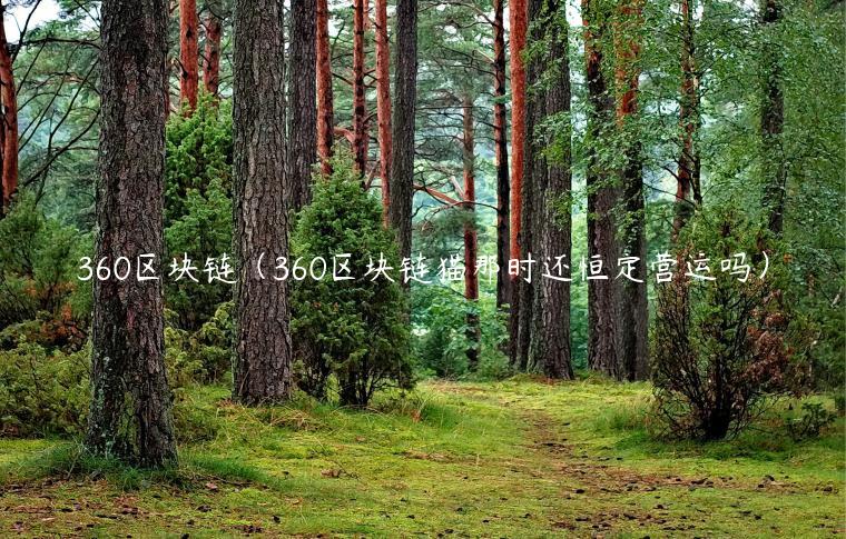 360区块链（360区块链猫那时还恒定营运吗）-第1张图片-芝麻交易所下载