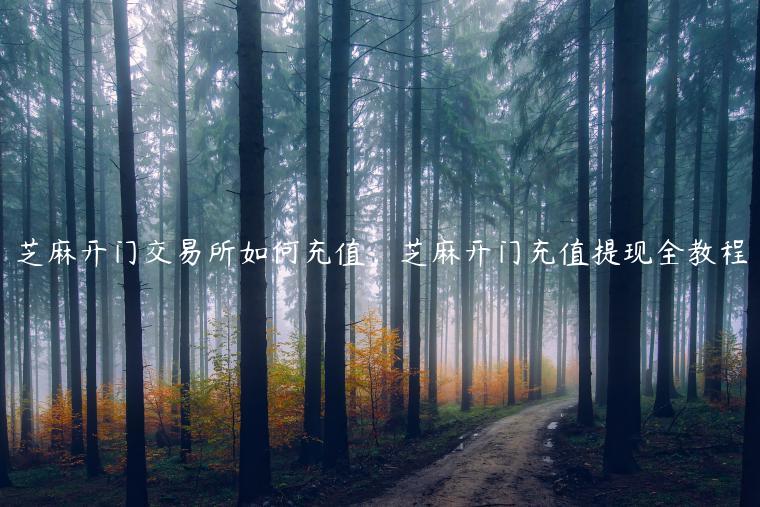芝麻开门交易所如何充值，芝麻开门充值提现全教程-第1张图片-芝麻交易所下载