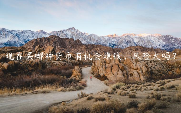 现在买哪种货币有机会赚钱，风险大吗？-第1张图片-芝麻交易所下载