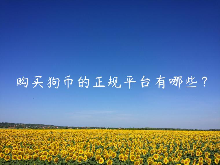 购买狗币的正规平台有哪些？-第1张图片-芝麻交易所下载