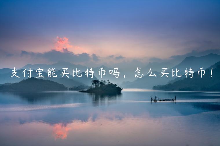 支付宝能买比特币吗，怎么买比特币！-第1张图片-芝麻交易所下载
