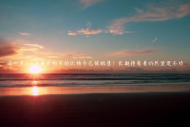 近一半以6万美元购买的比特币已被抛售！长期持有者仍然坚定不移-第1张图片-芝麻交易所下载