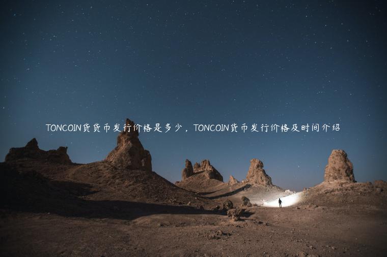 TONCOIN货货币发行价格是多少，TONCOIN货币发行价格及时间介绍-第1张图片-芝麻交易所下载