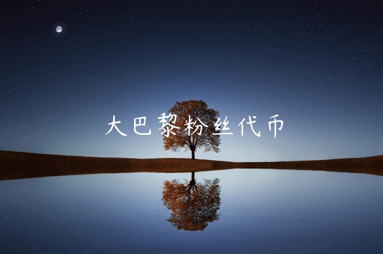 大巴黎粉丝代币-第1张图片-芝麻交易所下载