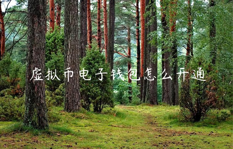 虚拟币电子钱包怎么开通-第1张图片-芝麻交易所下载