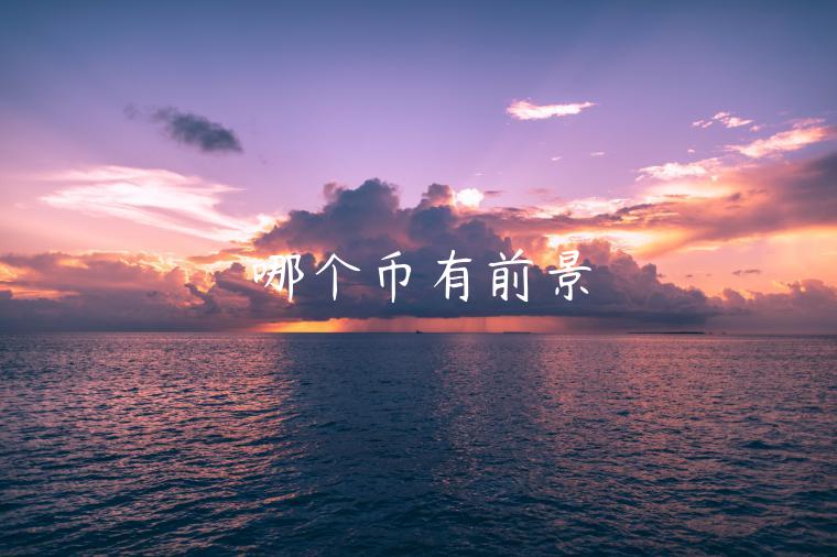 哪个币有前景-第1张图片-芝麻交易所下载