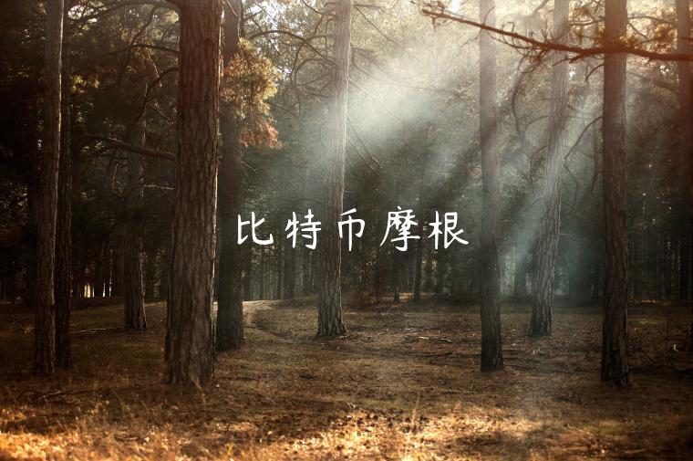 比特币摩根-第1张图片-芝麻交易所下载