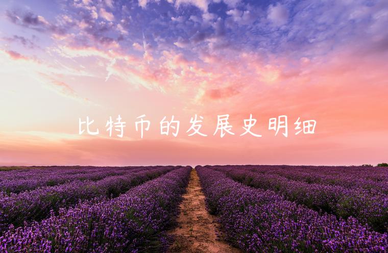 比特币的发展史明细-第1张图片-芝麻交易所下载