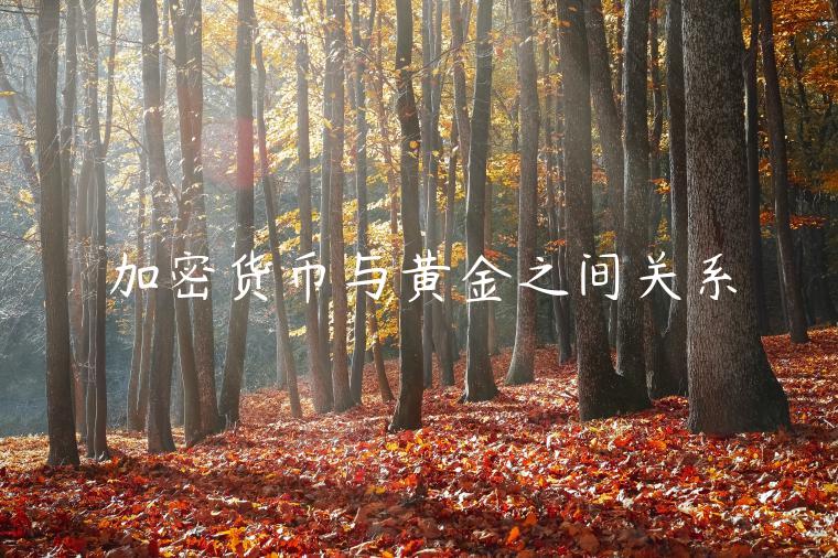 加密货币与黄金之间关系-第1张图片-芝麻交易所下载