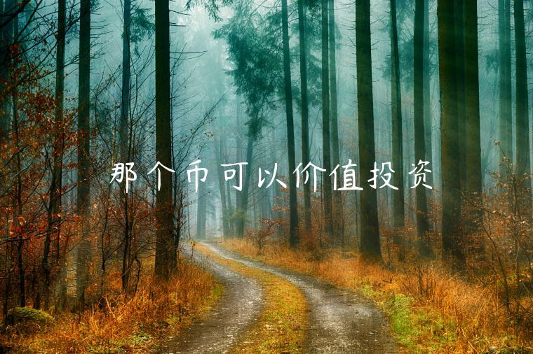 那个币可以价值投资-第1张图片-芝麻交易所下载
