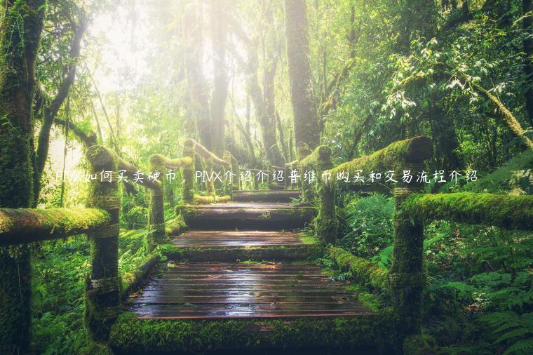 PIV如何买卖硬币，PIV介绍介绍普维币购买和交易流程介绍-第1张图片-芝麻交易所下载