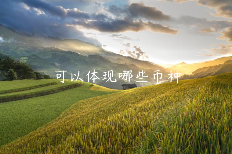 可以体现哪些币种-第1张图片-芝麻交易所下载