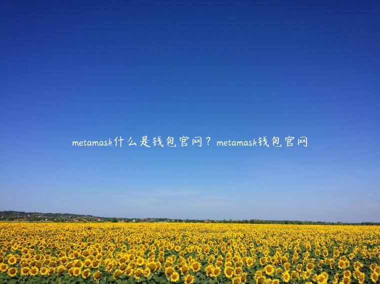 mtamask什么是钱包官网？mtamask钱包官网-第1张图片-芝麻交易所下载