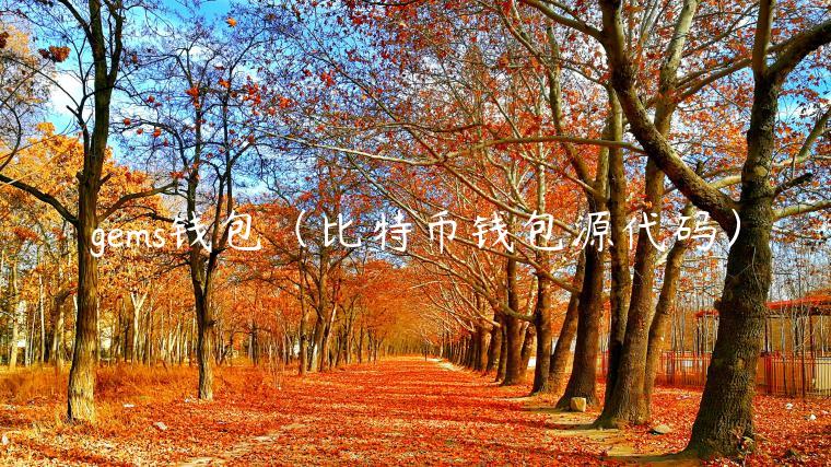 gms钱包（比特币钱包源代码）-第1张图片-芝麻交易所下载
