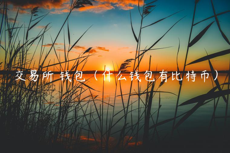 交易所 钱包（什么钱包有比特币）-第1张图片-芝麻交易所下载