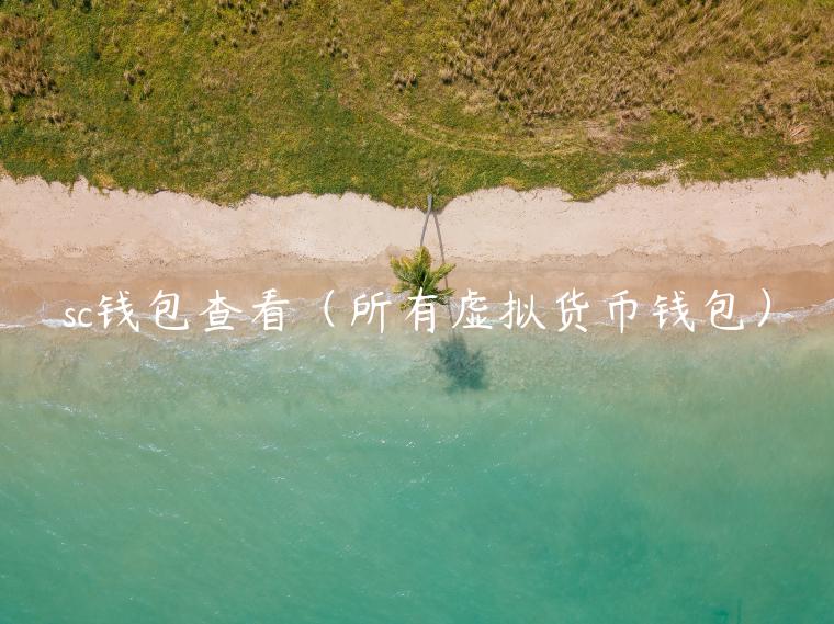 sc钱包查看（所有虚拟货币钱包）-第1张图片-芝麻交易所下载