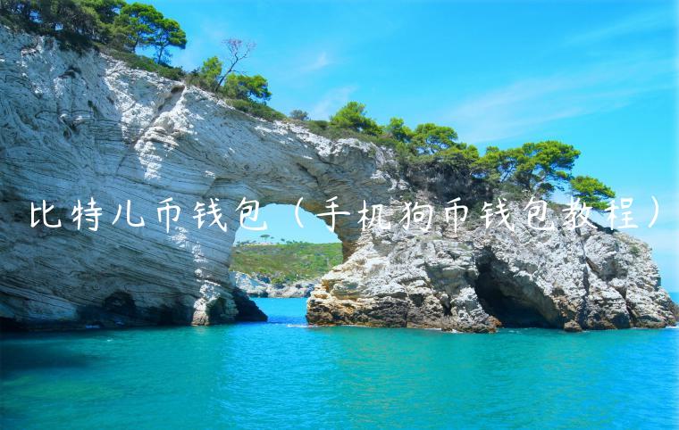 比特儿币钱包（手机狗币钱包教程）-第1张图片-芝麻交易所下载