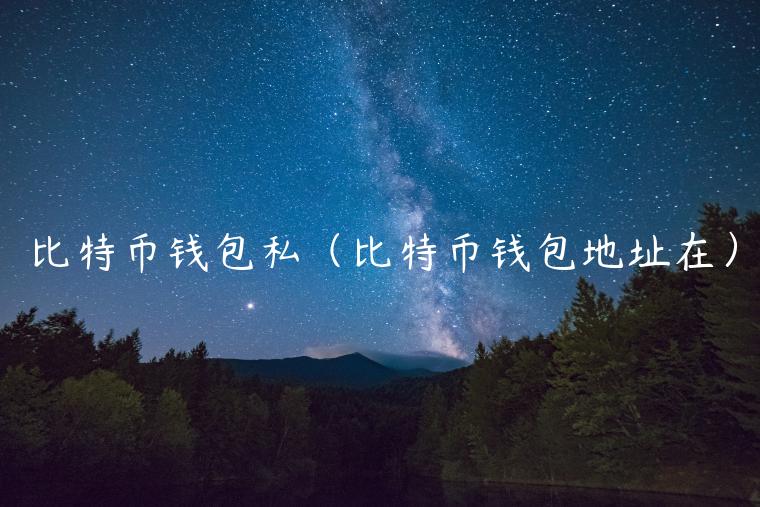 比特币钱包私（比特币钱包地址在）-第1张图片-芝麻交易所下载
