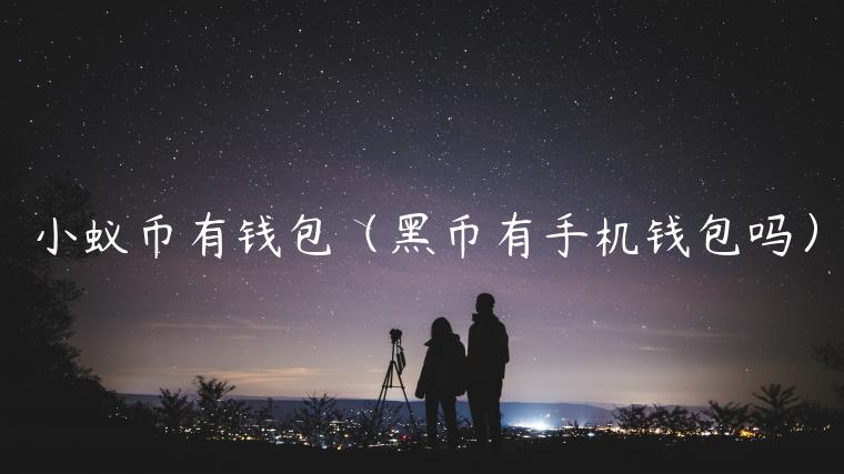 小蚁币有钱包（黑币有手机钱包吗）-第1张图片-芝麻交易所下载