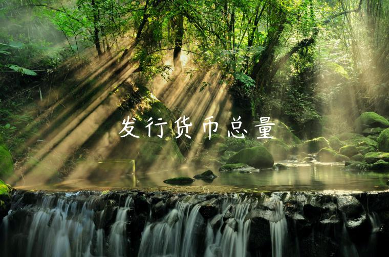 发行货币总量-第1张图片-芝麻交易所下载