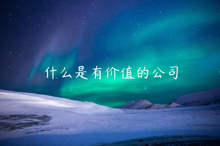 什么是有价值的公司-第1张图片-芝麻交易所下载