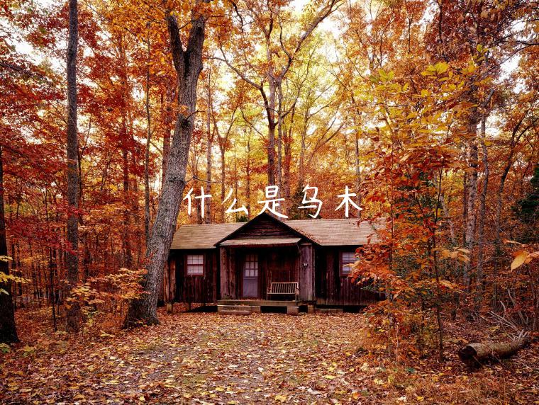 什么是乌木-第1张图片-芝麻交易所下载