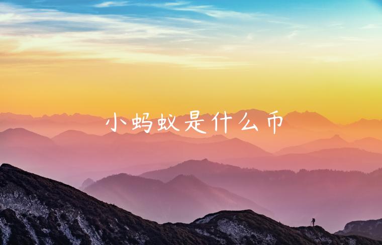 小蚂蚁是什么币-第1张图片-芝麻交易所下载