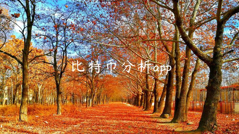 比特币分析app-第1张图片-芝麻交易所下载