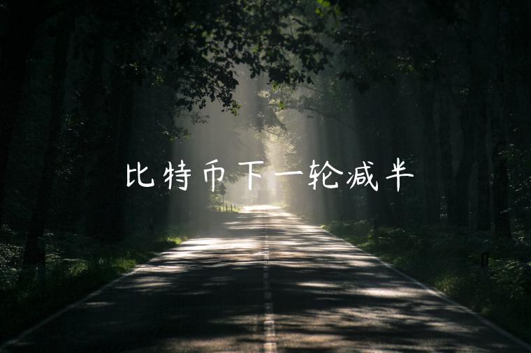 比特币下一轮减半-第1张图片-芝麻交易所下载