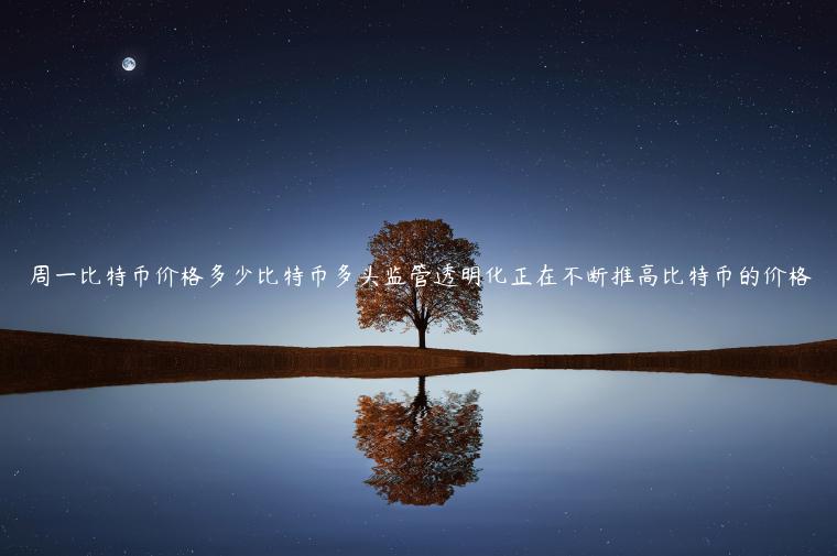 周一比特币价格多少比特币多头监管透明化正在不断推高比特币的价格-第1张图片-芝麻交易所下载