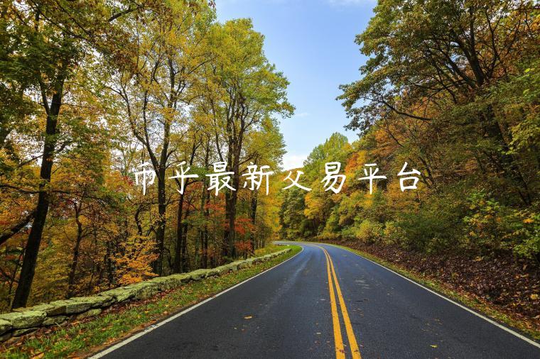 币乎最新交易平台-第1张图片-芝麻交易所下载