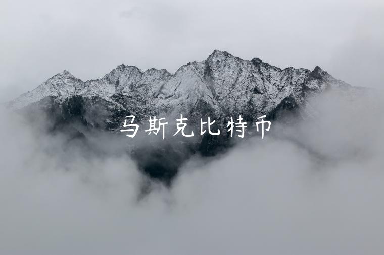 马斯克比特币-第1张图片-芝麻交易所下载