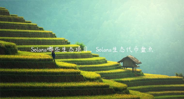 Solana哪些生态项目，Solana生态代币盘点-第1张图片-芝麻交易所下载