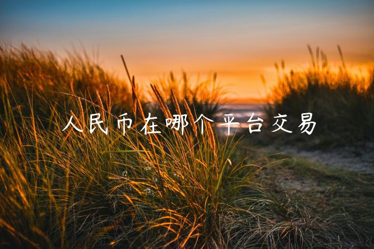 人民币在哪个平台交易-第1张图片-芝麻交易所下载