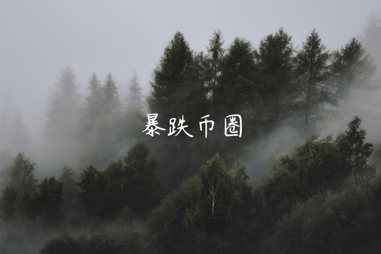 暴跌币圈-第1张图片-芝麻交易所下载
